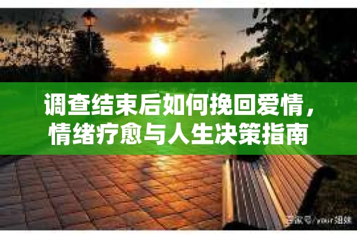 调查结束后如何挽回爱情，情绪疗愈与人生决策指南