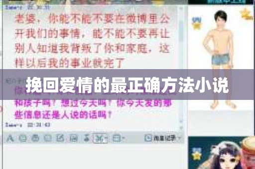 挽回爱情的最正确方法小说