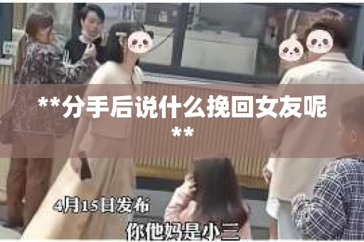 **分手后说什么挽回女友呢**
