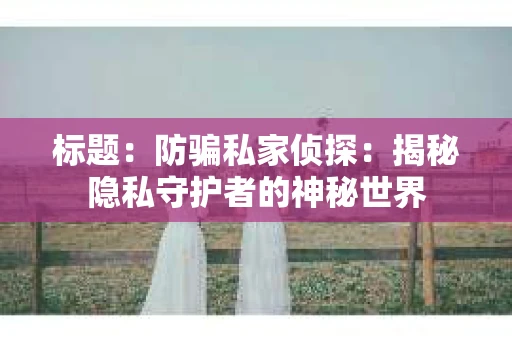 标题：防骗私家侦探：揭秘隐私守护者的神秘世界