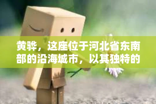 黄骅，这座位于河北省东南部的沿海城市，以其独特的地理位置和丰富的历史文化而闻名。然而，在这座城市中，还有一群人，他们以另一种方式默默守护着社会的公平与正义——私家侦探。今天，我们就来聊聊黄骅的私家侦探，看看他们是如何在这个城市中发挥作用的。