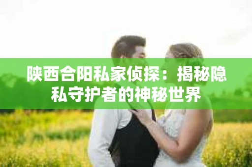 陕西合阳私家侦探：揭秘隐私守护者的神秘世界
