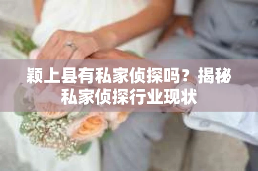 颖上县有私家侦探吗？揭秘私家侦探行业现状