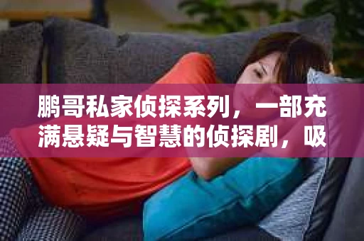 鹏哥私家侦探系列，一部充满悬疑与智慧的侦探剧，吸引了无数观众的眼球。今天，就让我带你走进这个充满神秘色彩的侦探世界，一起在线观看鹏哥私家侦探系列，感受那扣人心弦的故事情节。