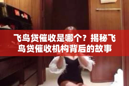 飞鸟贷催收是哪个？揭秘飞鸟贷催收机构背后的故事