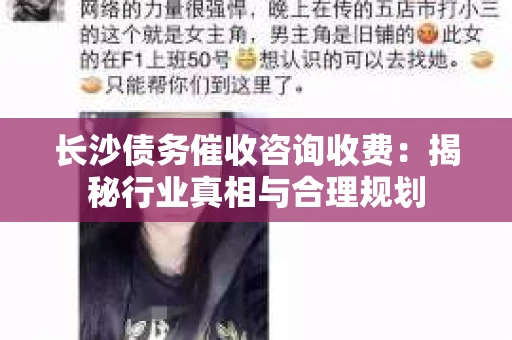 长沙债务催收咨询收费：揭秘行业真相与合理规划