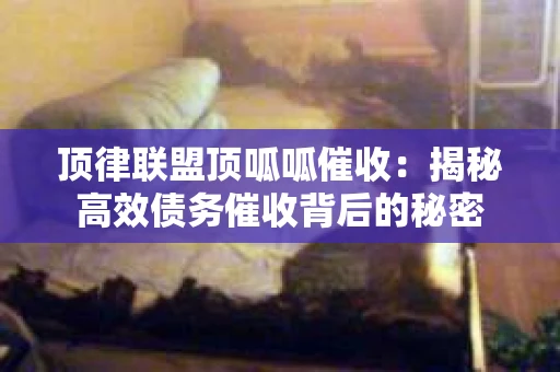 顶律联盟顶呱呱催收：揭秘高效债务催收背后的秘密