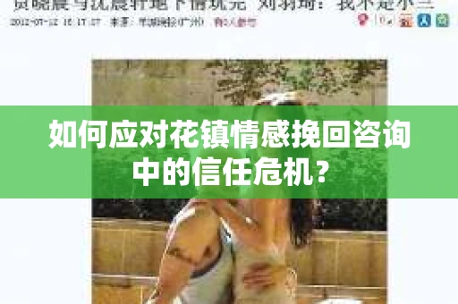 如何应对花镇情感挽回咨询中的信任危机？