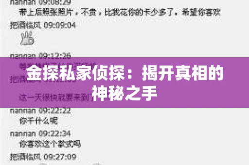金探私家侦探：揭开真相的神秘之手
