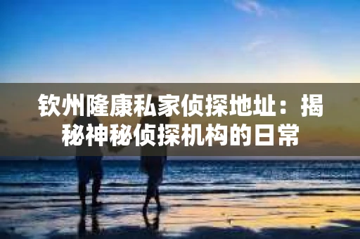 钦州隆康私家侦探地址：揭秘神秘侦探机构的日常