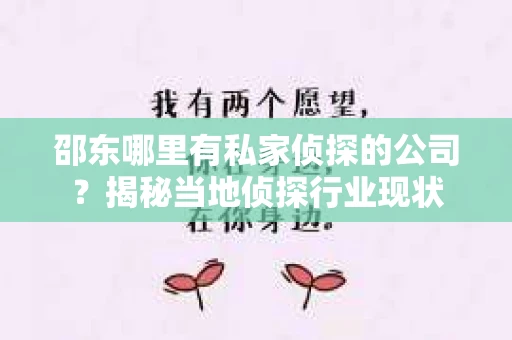 邵东哪里有私家侦探的公司？揭秘当地侦探行业现状