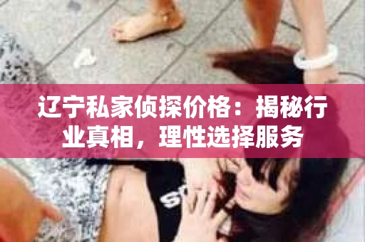 辽宁私家侦探价格：揭秘行业真相，理性选择服务