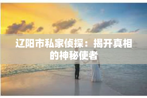 辽阳市私家侦探：揭开真相的神秘使者