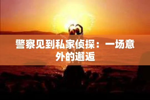 警察见到私家侦探：一场意外的邂逅
