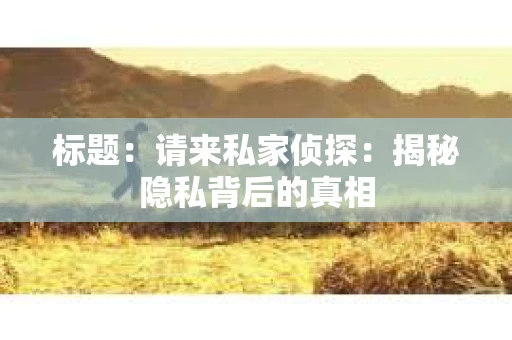 标题：请来私家侦探：揭秘隐私背后的真相