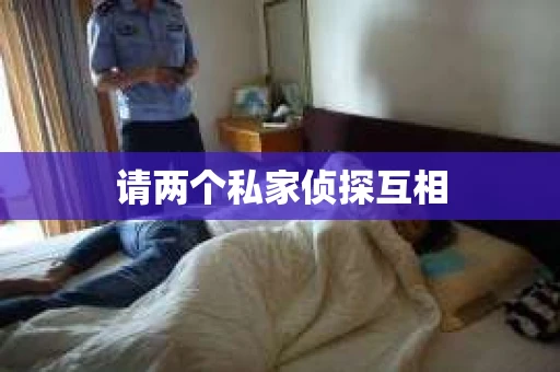 请两个私家侦探互相