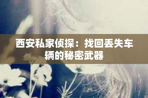 西安私家侦探：找回丢失车辆的秘密武器