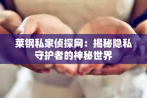 莱钢私家侦探网：揭秘隐私守护者的神秘世界