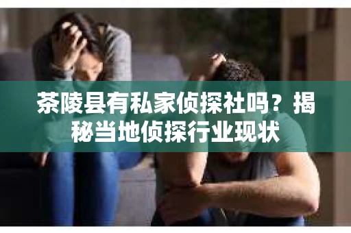 茶陵县有私家侦探社吗？揭秘当地侦探行业现状