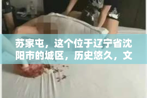 苏家屯，这个位于辽宁省沈阳市的城区，历史悠久，文化底蕴深厚。近年来，随着社会的发展，人们对于私家侦探的需求也逐渐增加。那么，苏家屯有私家侦探吗？今天，我们就来聊聊这个话题。