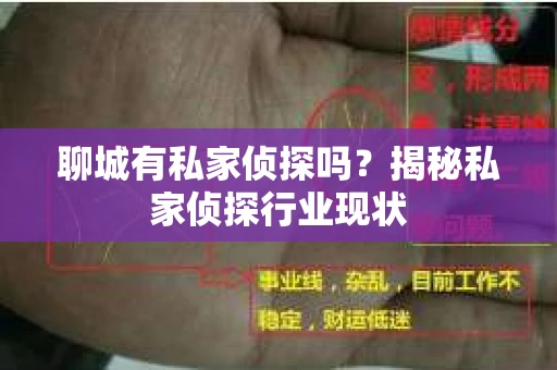 聊城有私家侦探吗？揭秘私家侦探行业现状