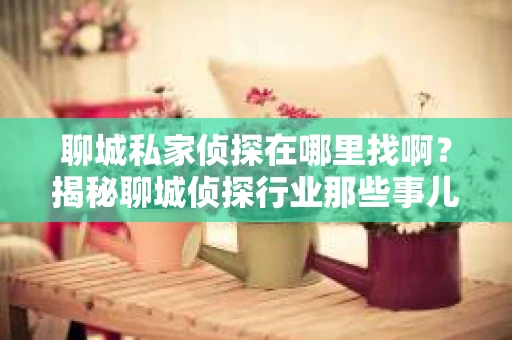 聊城私家侦探在哪里找啊？揭秘聊城侦探行业那些事儿