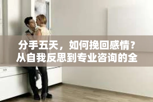 分手五天，如何挽回感情？从自我反思到专业咨询的全面解决方案