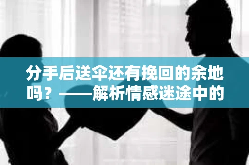 分手后送伞还有挽回的余地吗？——解析情感迷途中的决策
