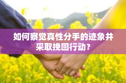 如何察觉真性分手的迹象并采取挽回行动？