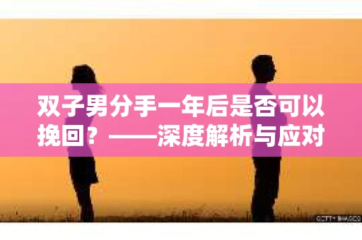 双子男分手一年后是否可以挽回？——深度解析与应对策略