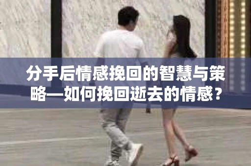 分手后情感挽回的智慧与策略—如何挽回逝去的情感？